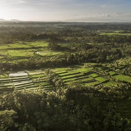 Como Shambhala Estate Payangan Exteriér fotografie