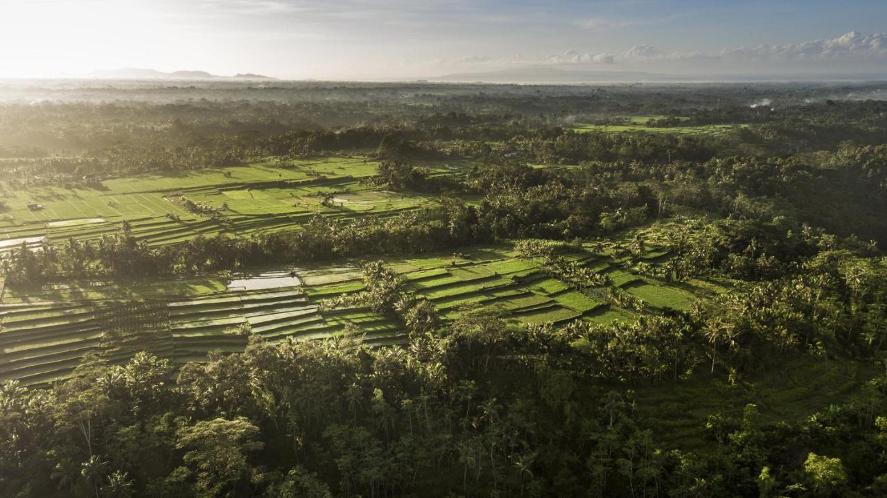 Como Shambhala Estate Payangan Exteriér fotografie